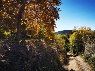 Laguna del Marquesado.