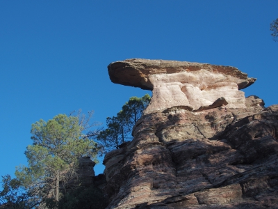 Corbeteras. Pajaroncillo
