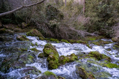 Nacimiento del Cuervo. Cuenca.- 