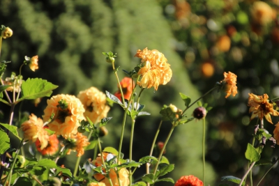 Puente de Vadillos. Cañizares_