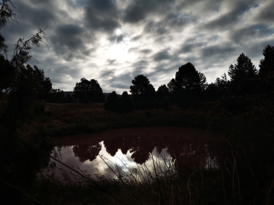 Lagunas de Cañada__