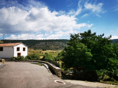 Zafrilla__ Zafrilla__