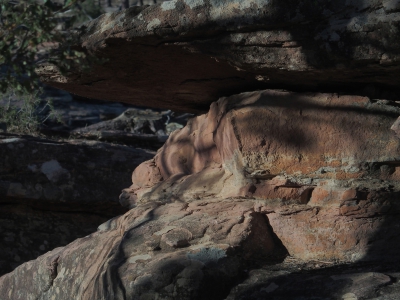 Corbeteras. Pajaroncillo