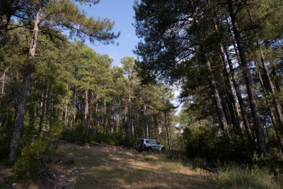 Mirador Sobre el Solan de Cabras. Santa Maria del Val-