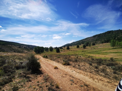 Zafrilla__ Zafrilla__