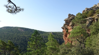 Miradores. Corbeteras. Pajaroncillo
