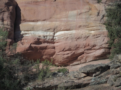 Corbeteras. Pajaroncillo