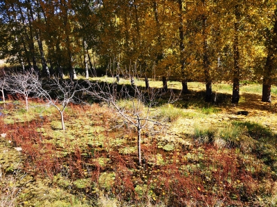 Laguna del Marquesado.