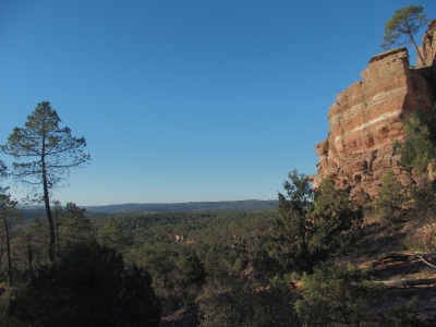Corbeteras. Pajaroncillo
