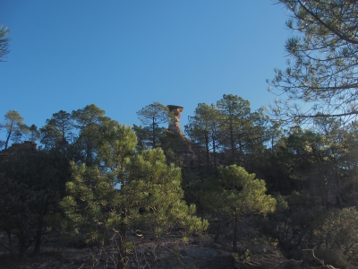 Corbeteras. Pajaroncillo