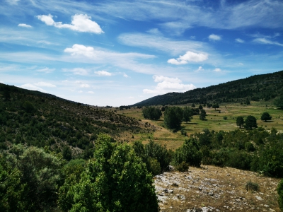 Zafrilla__ Zafrilla__