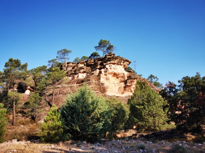 Corbeteras. Pajaroncillo__