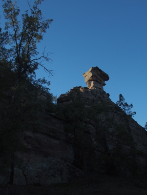 Corbeteras. Pajaroncillo