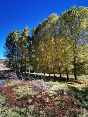 Laguna del Marquesado.