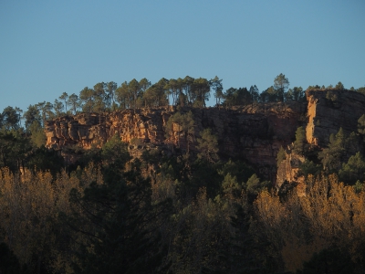 Corbeteras. Pajaroncillo