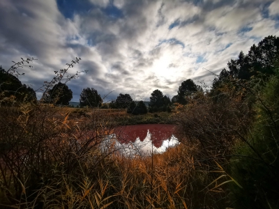 Lagunas de Cañada__