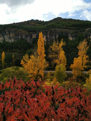 Otoño. Cuenca__
