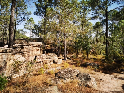 Villar del Humo. __ Villar del Humo. __