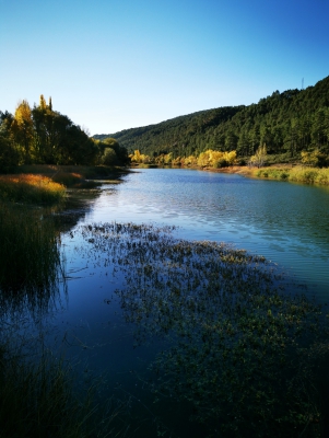 Embalse de Chincha. Puente de Vadillos._