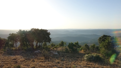 El Pozuelo. Panoramica_