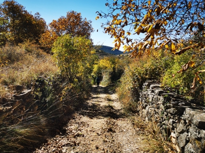 Laguna del Marquesado.