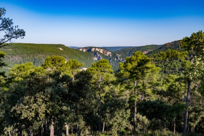 Hoz de Beteta. Beteta.-