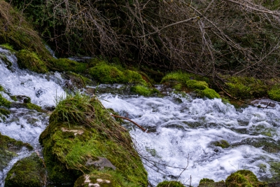 Nacimiento del Cuervo. Cuenca.-