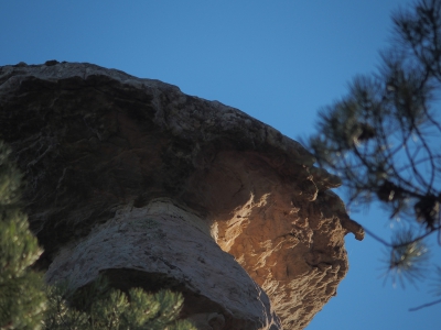 Corbeteras. Pajaroncillo