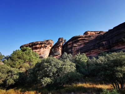 Miradores. Corbeteras. Pajaroncillo__