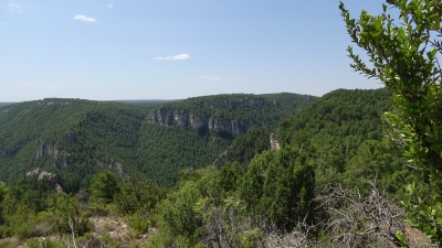Mirador de Tragavivos. Carrascosa de la Sierra.