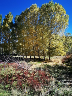 Laguna del Marquesado.