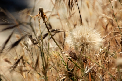 Ruta Turistica. Cuenca_