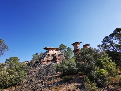 Corbeteras. Pajaroncillo__