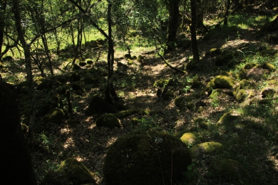 Los Casares. Valdemoro de la Sierra_ Los Casares. Valdemoro de la Sierra_