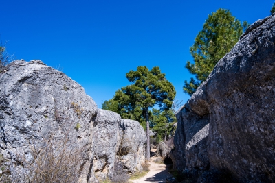 Ciudad Encantada. Cuenca.-
