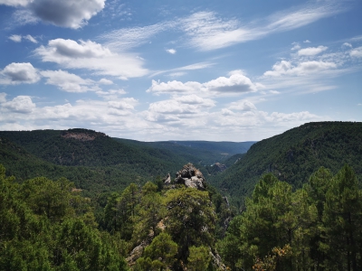 Mirador de Tragavivos. Carrascosa de la Sierra.__