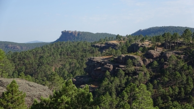 Ceñajo del Arte. Boniches