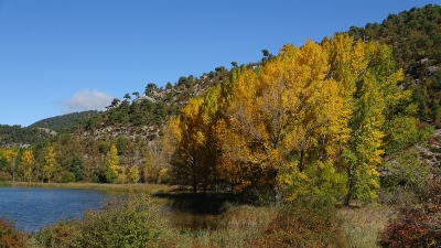 Laguna del Marquesado