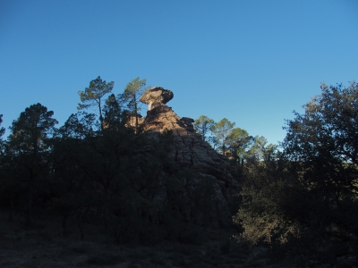 Corbeteras. Pajaroncillo