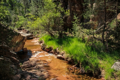 Pozo Batanero. Valdemoro de la Sierra_