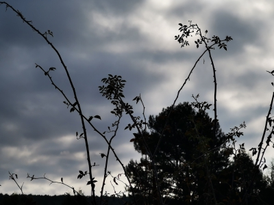 Lagunas de Cañada__