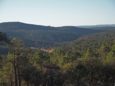 Corbeteras. Pajaroncillo