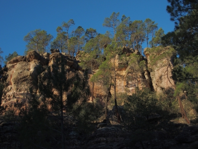 Corbeteras. Pajaroncillo