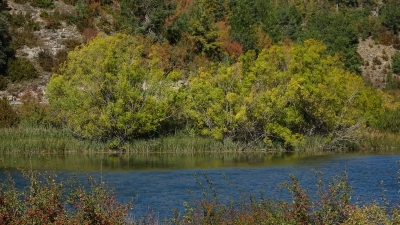 Laguna del Marquesado