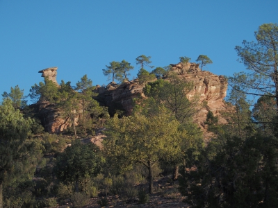 Corbeteras. Pajaroncillo