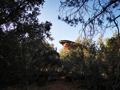 Corbeteras. Pajaroncillo__