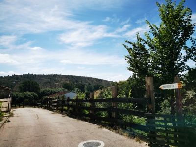 Zafrilla__ Zafrilla__