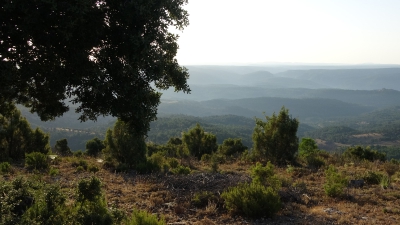 El Pozuelo. Panoramica_