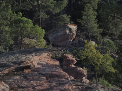 Corbeteras. Pajaroncillo