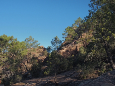 Corbeteras. Pajaroncillo